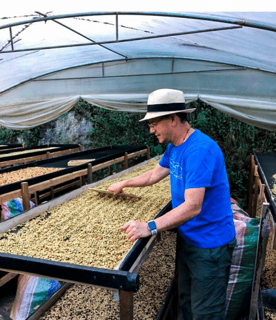 Velez turning coffee greens on a drying table.