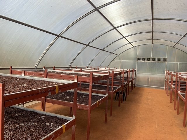 Covered raised dry beds at Shwe Yi Mon Estate in Myanmar.